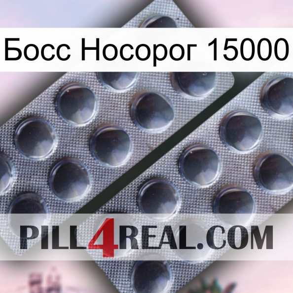 Босс Носорог 15000 31.jpg